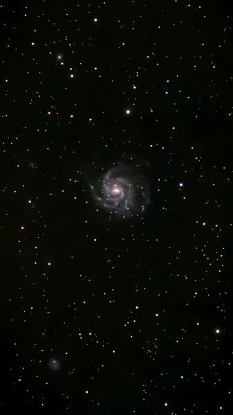 M101